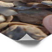 Poster Pile De Coquillages (Coin)