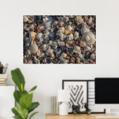 Poster Pile De Coquillages (Bureau à domicile)