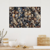 Poster Pile De Coquillages (Cuisine)