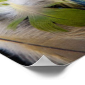 Poster Pile de plumes colorées (Coin)