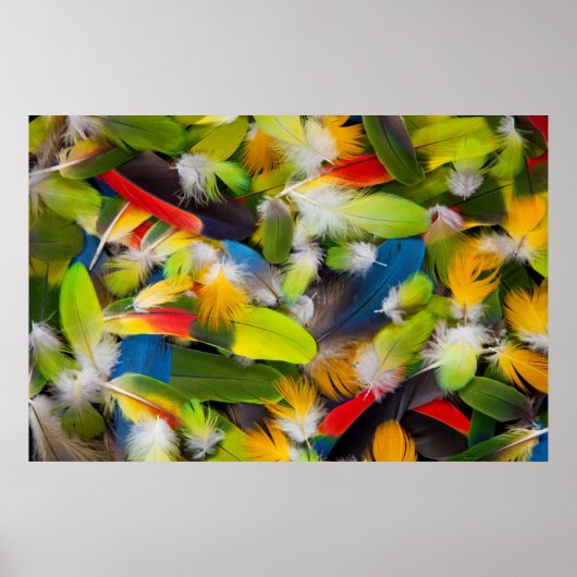 Poster Pile de plumes colorées (Devant)