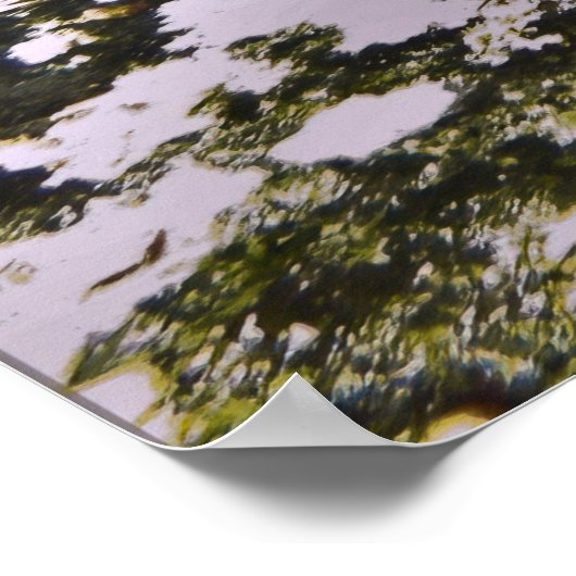 Poster Pile de requin de récif blanc (Coin)