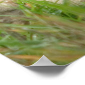 Poster Pile De Roches Balancées (Coin)