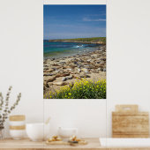 Poster Pile des phoques éléphants (Cuisine)