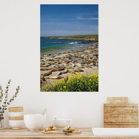 Poster Pile des phoques éléphants (Cuisine)