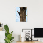 Poster Pileated Woodpecker (3625) (Bureau à domicile)