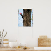 Poster Pileated Woodpecker (3625) (Cuisine)