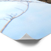 Poster Pileated Woodpecker (3625) (Coin)