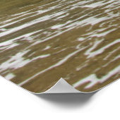 Poster Piles marines, marée basse, Oceanside, Oregon, Éta (Coin)