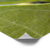 Poster Pilière noire et jaune (Coin)