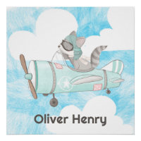 Pilote avion Raccoon