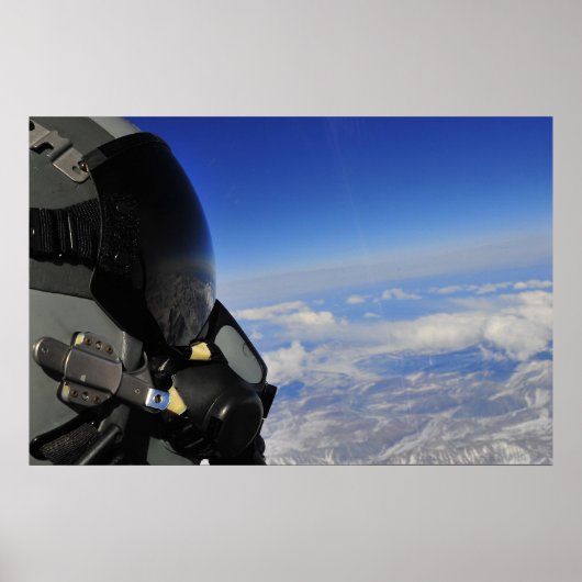 Poster Pilote de combat de faucon (Devant)