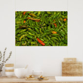 Poster Piments à vendre au marché (Cuisine)