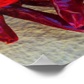 Poster Piments rouges séchant au soleil Hongrie (Coin)