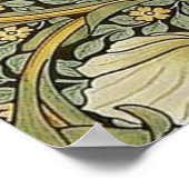 Poster Pimpernel William Morris (Coin)