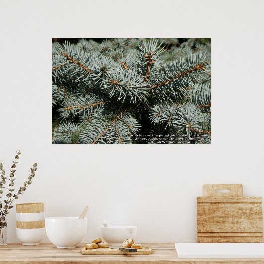 Poster Pin (Cuisine)