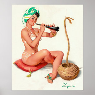 Poster Pin de charme