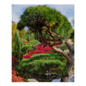 Poster Pin noir et érable japonais rouge (Devant)