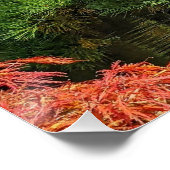 Poster Pin noir et érable japonais rouge (Coin)