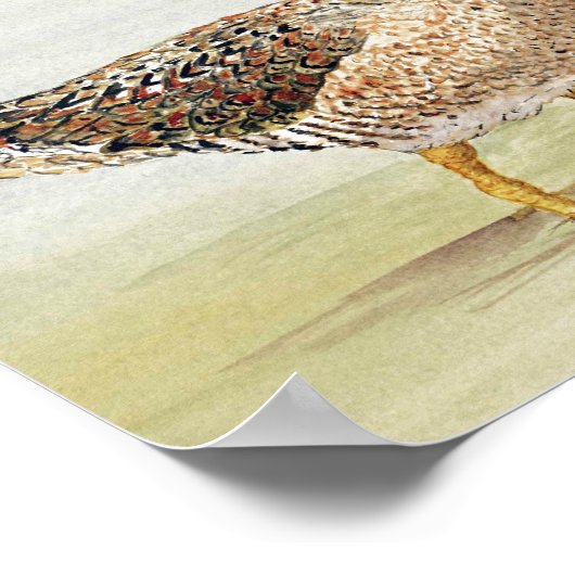 Poster Pinceau commun (Coin)