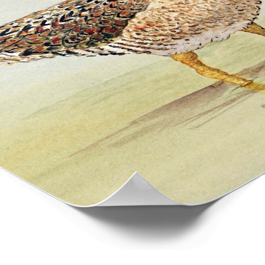 Poster Pinceau commun (Coin)