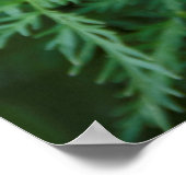 Poster Pinceau indien (Coin)