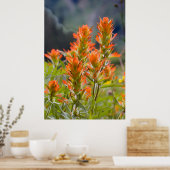 Poster Pinceau indien (Cuisine)