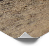 Poster Pinceau indien en roche à Sion (Coin)