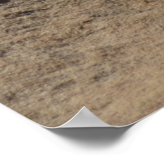 Poster Pinceau indien en roche à Sion (Coin)