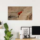 Poster Pinceau indien en roche à Sion (Bureau à domicile)