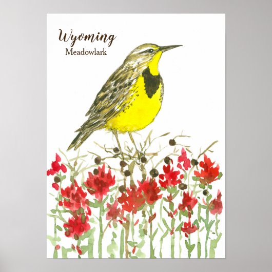 Poster Pinceau indien Meadowlark Wyoming (Devant)