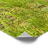 Poster Pincher Creek Alberta (Coin)