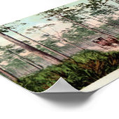 Poster Pine Barrens de Floride (Coin)