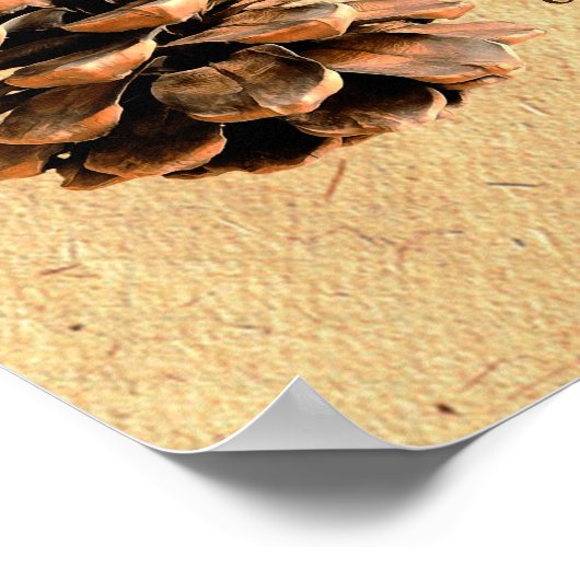 Poster Pine Cone Et John Muir Citation (Coin)