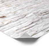 Poster Pine cones (Coin)