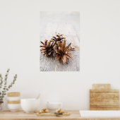 Poster Pine cones (Cuisine)