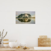 Poster Pine Island Sunray (Cuisine)