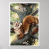 Poster Pine Marten (Devant)