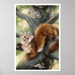Poster Pine Marten