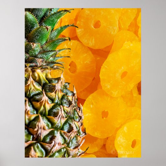 Poster Pineapple with Cut Pineapple Slices, Foodie, ZSSG (Devant)