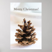 Poster Pinecone (Devant)