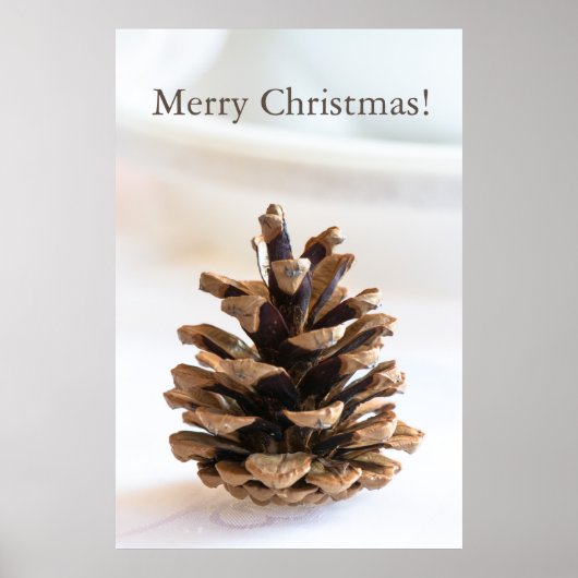 Poster Pinecone (Devant)