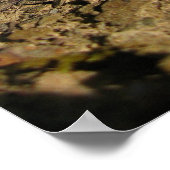 Poster pinécone (Coin)