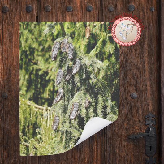 Poster Pinecones