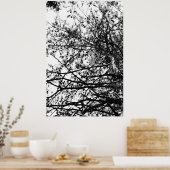 Poster PineCones (Cuisine)