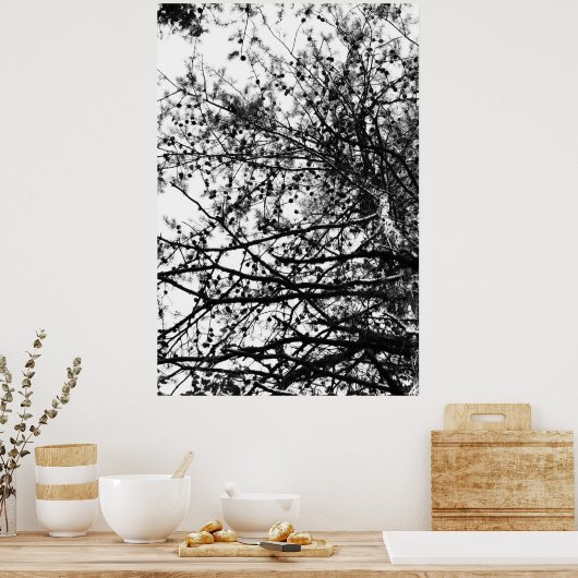 Poster PineCones (Cuisine)