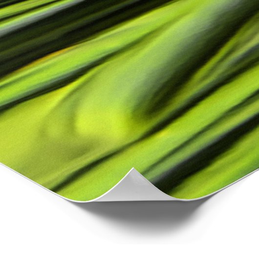 Poster Pinefer (Coin)