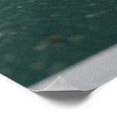 Poster Ping Pong Ball on Green Table Court (Coin)