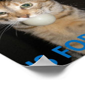 Poster Ping Pong Est Pour Les Chattes (Coin)