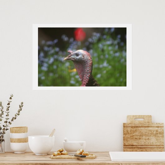 Poster Ping Tom (Cuisine)